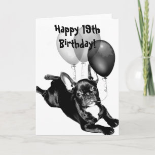 ハッピー19誕生日フランスのブルドッググリーティングカード カード