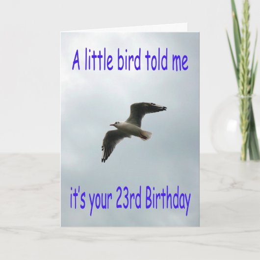 ハッピー23番誕生日飛んでいるカモメ カード (正面)