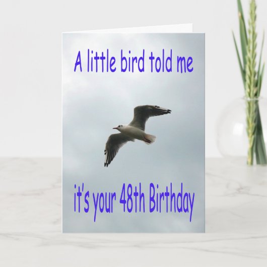 ハッピー48誕生日飛んでいるカモメ カード (正面)