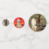 ハッピー・アルパカ コンフェッティ (正面)