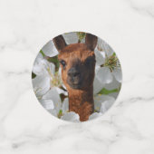 ハッピー・アルパカ コンフェッティ (スモール正面)