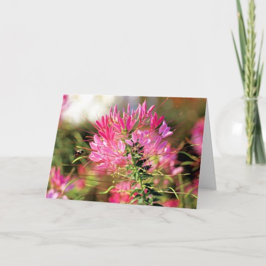 ハッピー サンキューカード (正面)