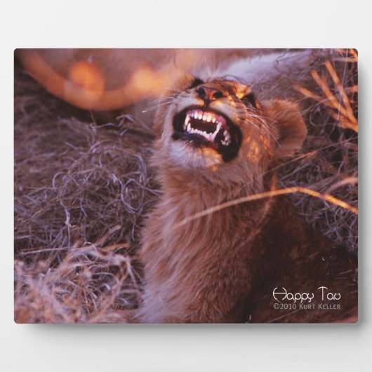 ハッピー・タウ フォトプラーク (正面)