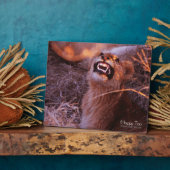 ハッピー・タウ フォトプラーク (側面)