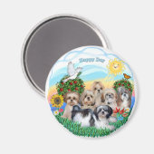 ハッピー・デイと6つのシーズー（犬）・ツス マグネット (正面/裏面)