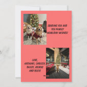 ハッピー・ハウリデイズ クリスマス ライト 写真入りグリーティングカード (裏面)