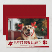 ハッピー・ハウリデイズ ペット・犬の写真 クリスマスカード (正面/裏面)