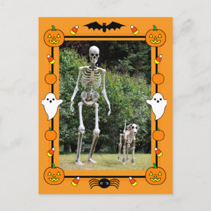 ハッピー ハロウィン スケルトン シーズンポストカード