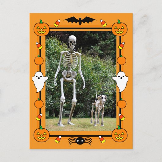 ハッピー ハロウィン スケルトン シーズンポストカード (正面)