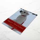 ハッピー・パウリデイズ 箔シーズンカード (回転した状態)