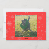 ハッピー・ヒーラー・ホリデー2  赤と緑の絵 シーズンカード (裏面)