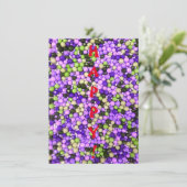 ハッピー！フラットグリーティングカード (スタンド正面)