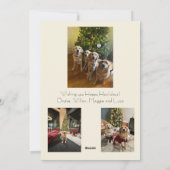 ハッピー ホウィリデイズ フォト カード (裏面)