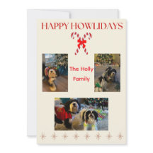 ハッピー ホリデイズ キャンディー ケーンとトゥインクル