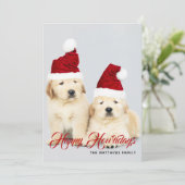 ハッピー ホリデイズ ペット ドッグ ホリデー フォト | クリスマス (スタンド正面)