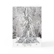 ハッピー・ホリデー：シンプルな楽しみを味わって - ボストン