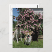 ハッピー・ボーイズ ポストカード (正面/裏面)