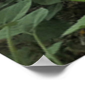 ハッピー。 ポスター (角)