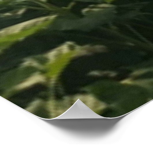 ハッピー。 ポスター (角)