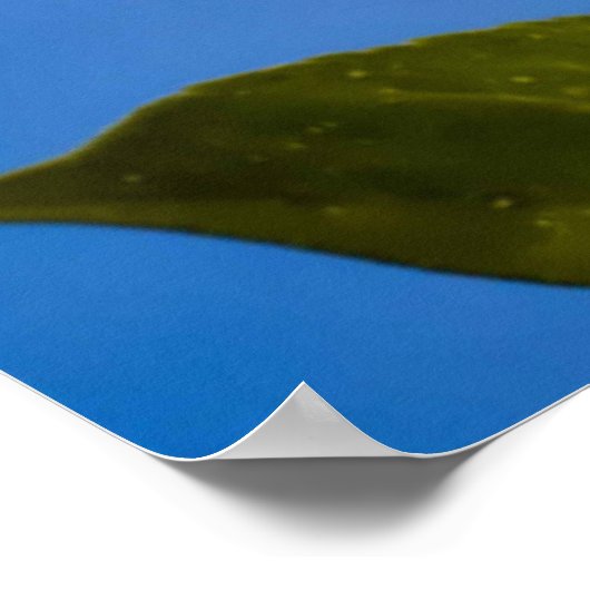 ハッピー。 ポスター (角)