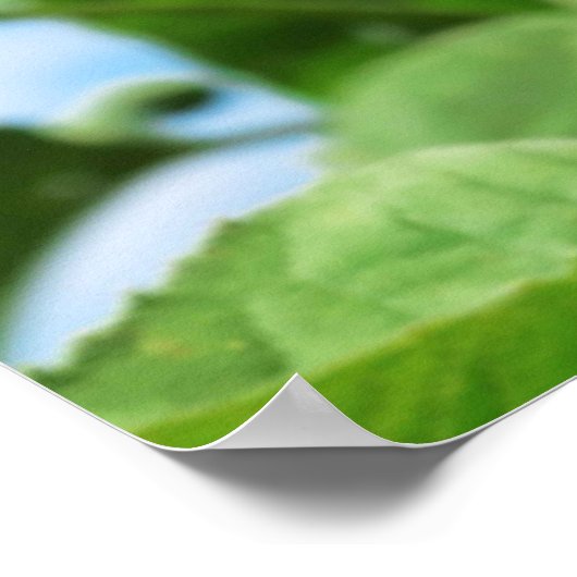 ハッピー。 ポスター (角)