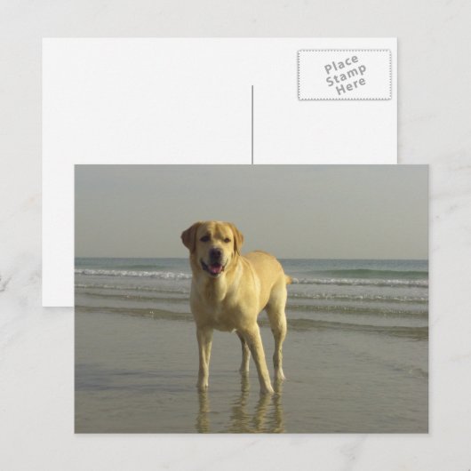 ハッピー ポストカード (正面/裏面)