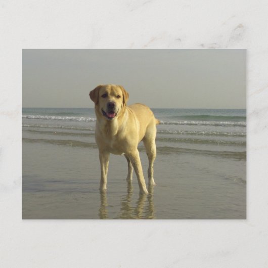 ハッピー ポストカード (正面)