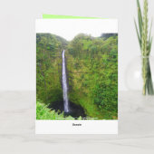 ハッピー·リタイアメント，ハワイアン，赤花滝，カード カード (裏面)