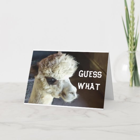 ハッピー*感謝祭*と言えばラマ カード (正面)