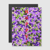 ハッピー！磁気式グリーティングカード (正面/裏面)