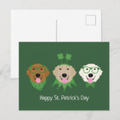 ハッピーSt patricks dayゴールデンレトリエバードッグス ポストカード (正面/裏面)