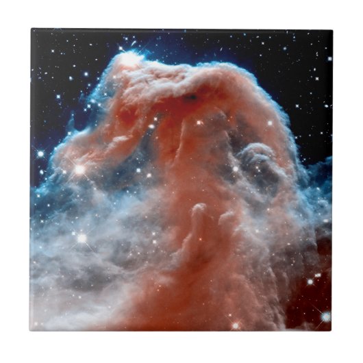 ハッブル宇宙望遠鏡が撮影した赤外線写真：馬頭星雲 タイル (正面)