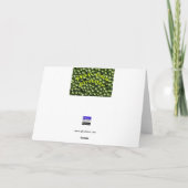 ハップピー誕生日 カード (裏面)