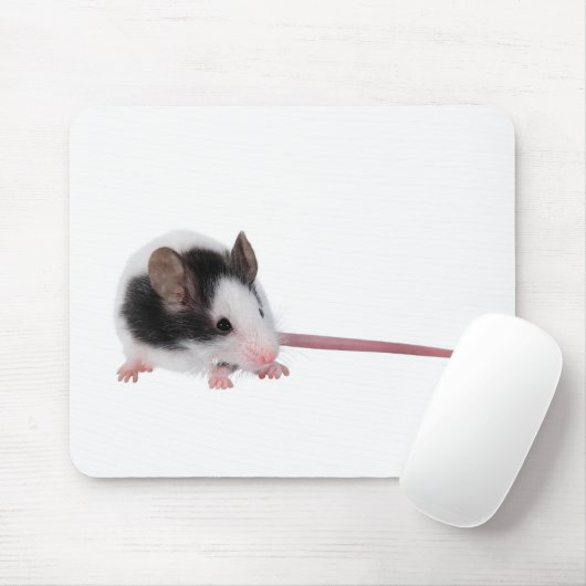 ハツカネズミ マウスパッド (マウス)