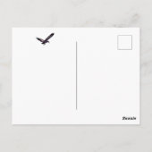 ハデダイビスハガキ ポストカード (裏面)