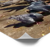 ハトがのまわりにハートで木を集める ポスター (角)