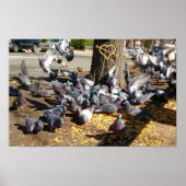 ハトがのまわりにハートで木を集める ポスター (正面)