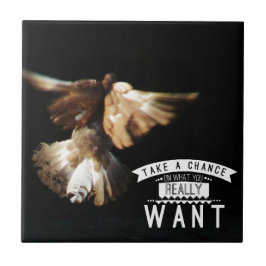 ハトがチャンスを得る タイル