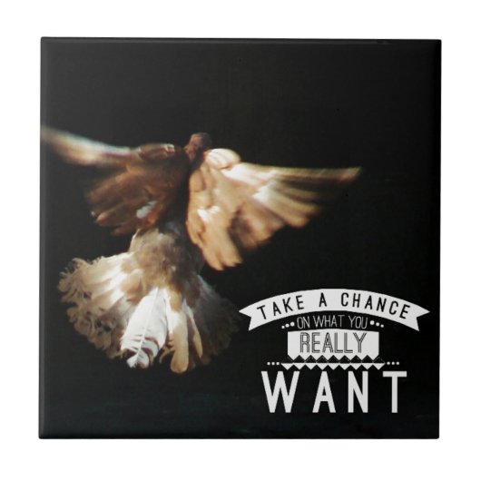 ハトがチャンスを得る タイル (正面)