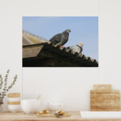 ハトが屋根の上に。 ポスター (キッチン)