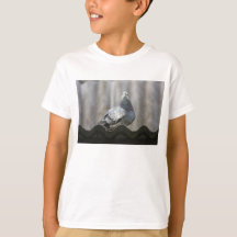 ハトが屋根の上に。