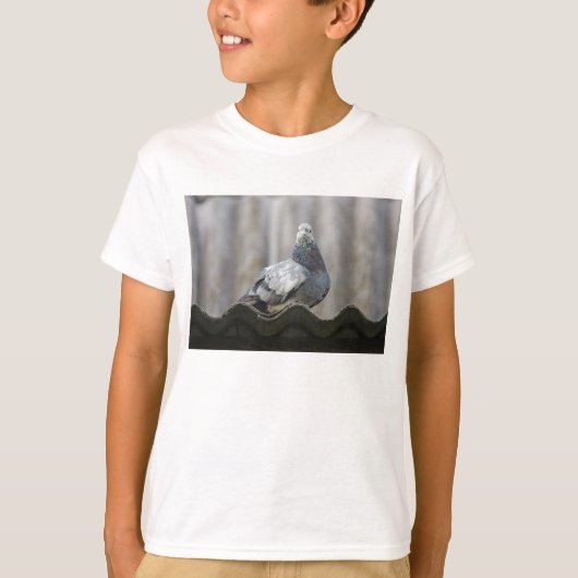 ハトが屋根の上に。 Tシャツ (正面)