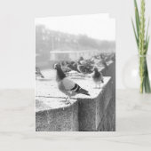 ハトが橋の上に カード (正面)