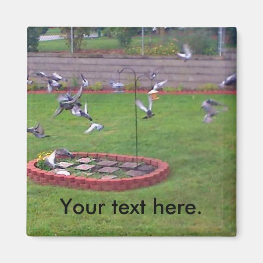 ハトが飛んで着陸する鳥の餌場 ヤード マグネット (正面)