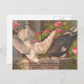 ハトとホワイトハトのヴィンテージはがき ポストカード (正面/裏面)