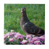 ハトとラム タイル (正面)