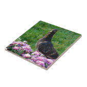 ハトとラム タイル (側面)