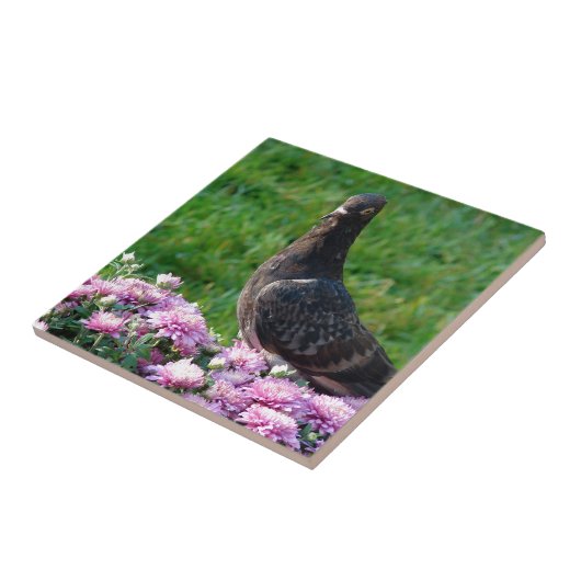 ハトとラム タイル (側面)