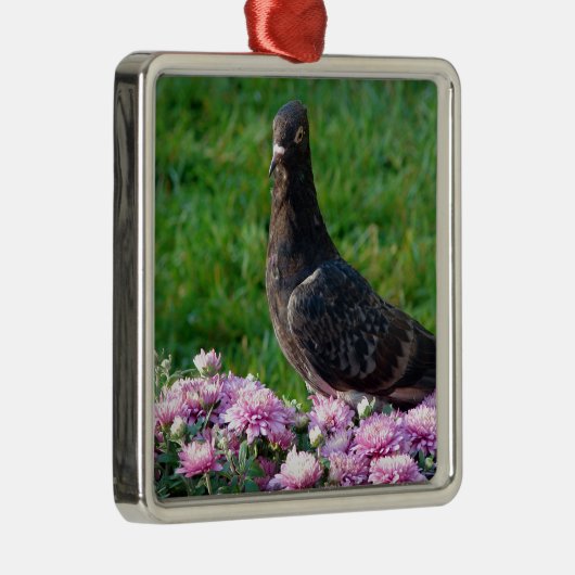 ハトとラム メタルオーナメント (右)