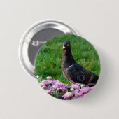 ハトとラム 缶バッジ (正面&裏面)